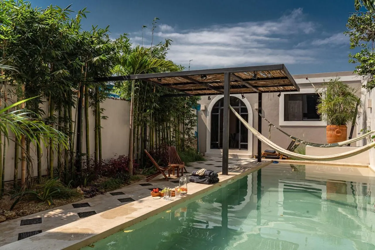 Luxury Home In The Heart Of Merida Centro