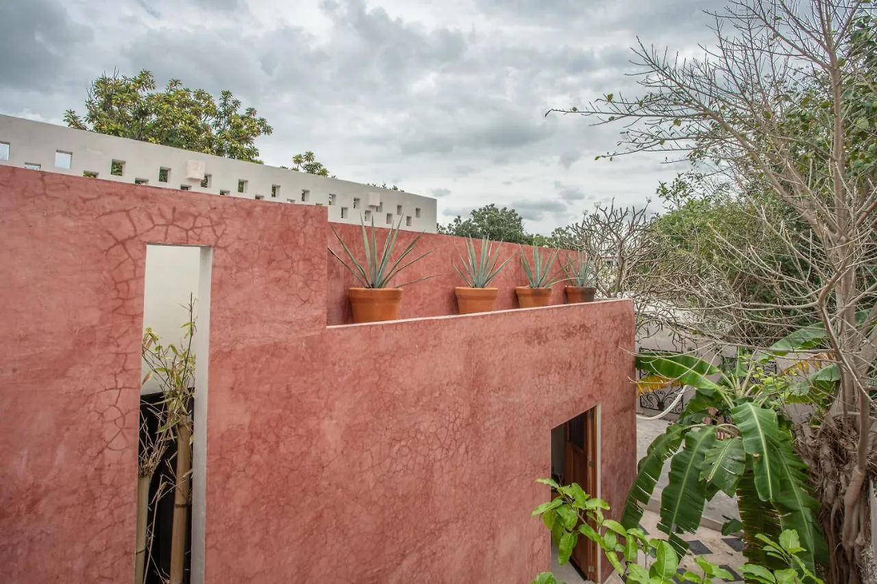 Luxury Home In The Heart Of Merida Centro