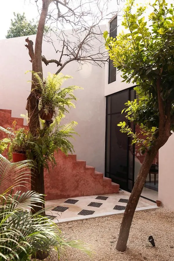 Casa vacanze Luxury Home In The Heart Of Merida Centro